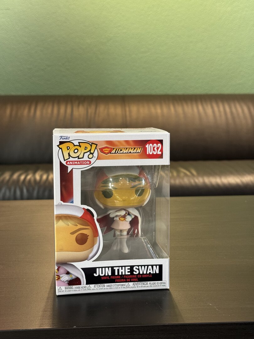 13.june swan